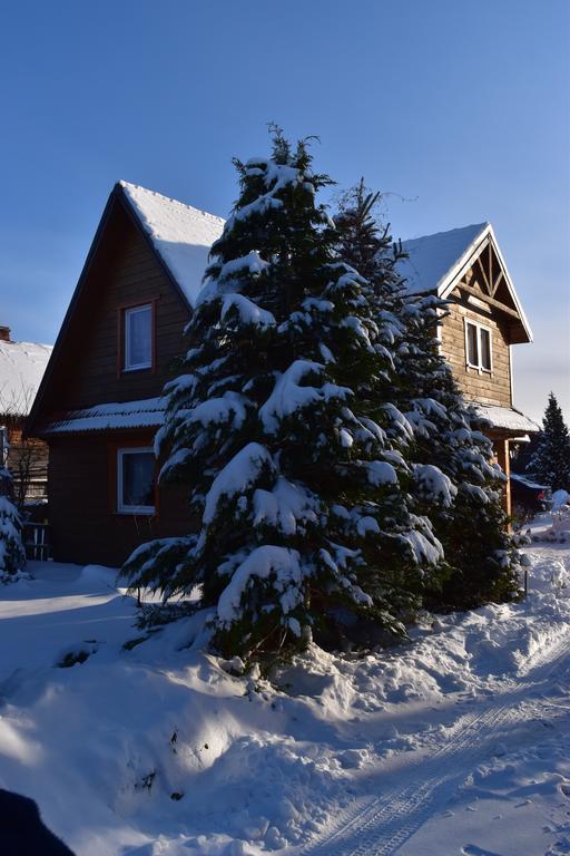 Domek Jaskolka Białowieża Εξωτερικό φωτογραφία